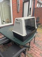 Honden bench, Dieren en Toebehoren, Hondenhokken, Ophalen of Verzenden, Zo goed als nieuw, 75 tot 110 cm, Minder dan 65 cm