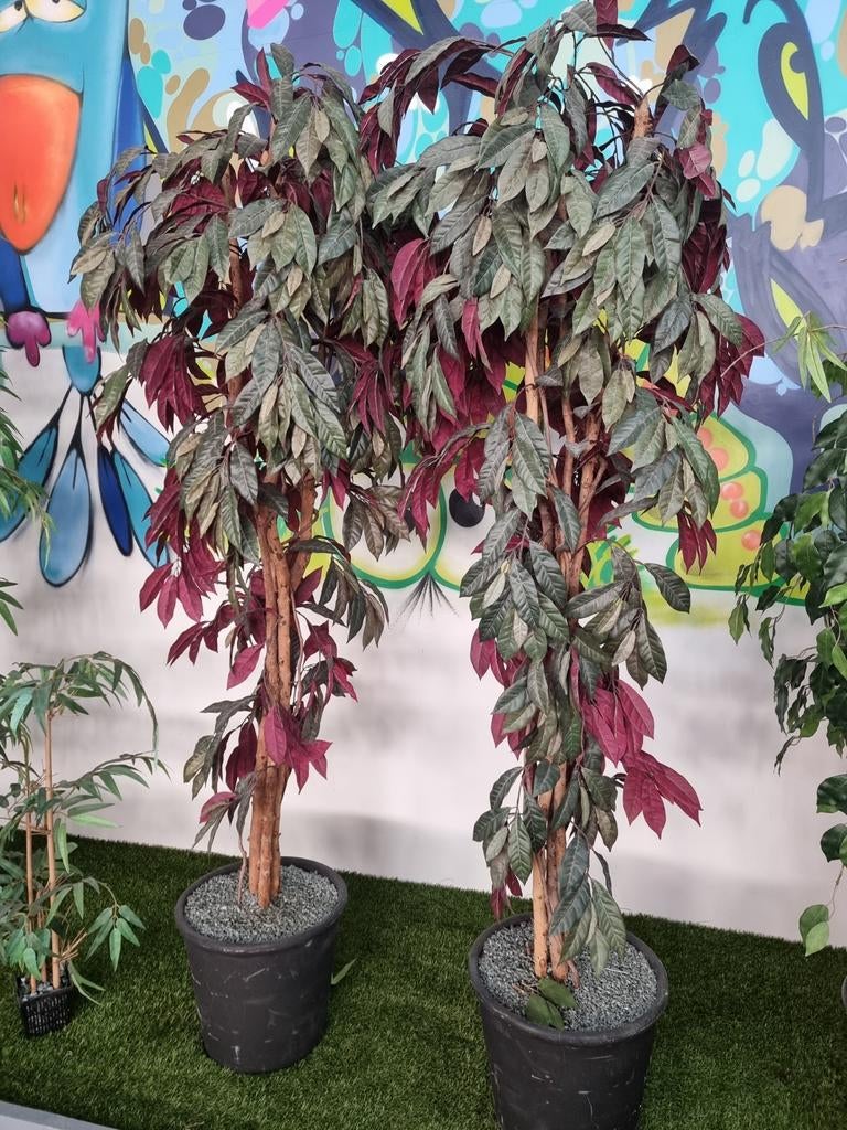 Kunstplant voor binnen of buiten, Ophalen of Verzenden, Nieuw, Binnen