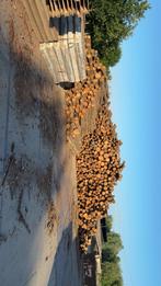 Tekoop gevraagd stamhout eik beuk essen, Tuin en Terras, Haardhout, 3 tot 6 m³, Ophalen of Verzenden