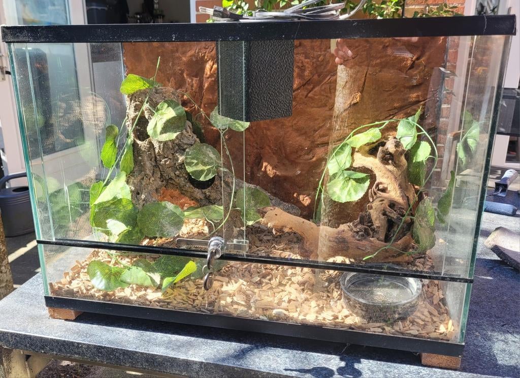 Terrarium met toebehoren 60x36x42, Dieren en Toebehoren, Reptielen en Amfibieën | Toebehoren, Ophalen