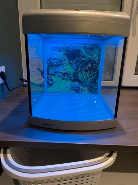 Te Koop: Aqua 40 leeg aquarium, Dieren en Toebehoren, Vissen | Aquaria en Toebehoren, Gebruikt, Leeg aquarium, Ophalen of Verzenden