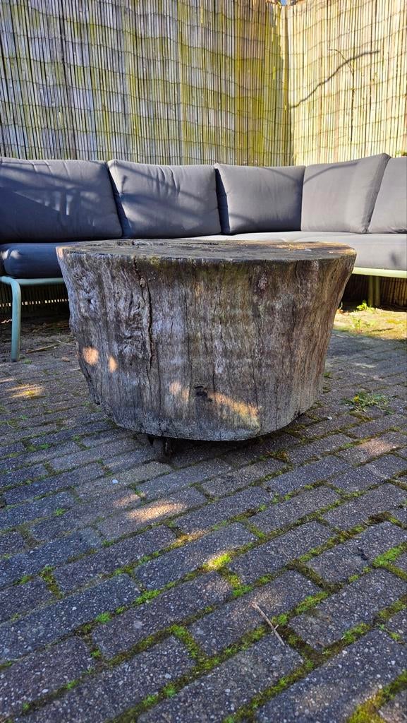 Boomstam salontafel met wieltjes - Gebruikt, Tuin en Terras, Tuintafels, Ophalen, Gebruikt, Rond