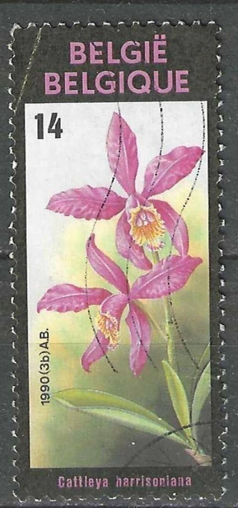 Belgie 1990 - Yvert/OBP 2358 - Gentse Floralien VIII (ST), Postzegels en Munten, Verzenden, Gestempeld