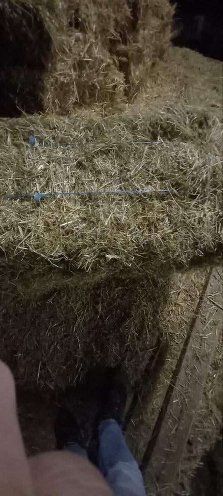 Hooibalen pakjes kleine pakjes hooi, Dieren en Toebehoren, Dierenvoeding, Ophalen of Verzenden, Vee