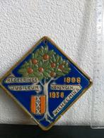 Tegel regeringsjubileum koningin Wilhelmina 1898-1938., Ophalen, Zo goed als nieuw, Kaart, Foto of Prent