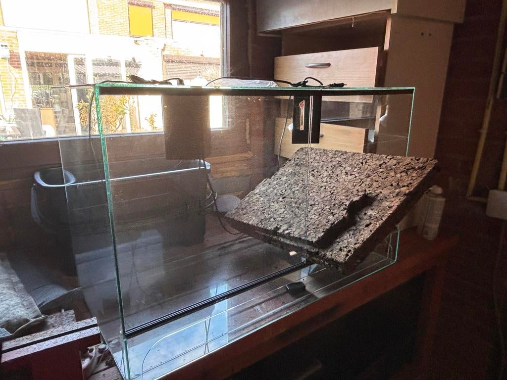 Terrarium BxHxD 80x50x40cm. Incl decoratie en verlichting., Ophalen, Zo goed als nieuw, Terrarium of Paludarium