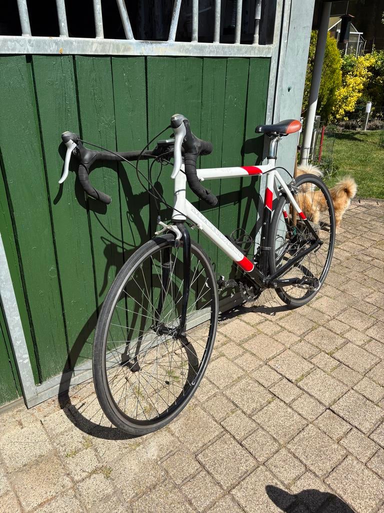 Mardini racefiets, Fietsen en Brommers, Fietsen | Racefietsen, Overige merken, Minder dan 10 versnellingen, Gebruikt, Heren
