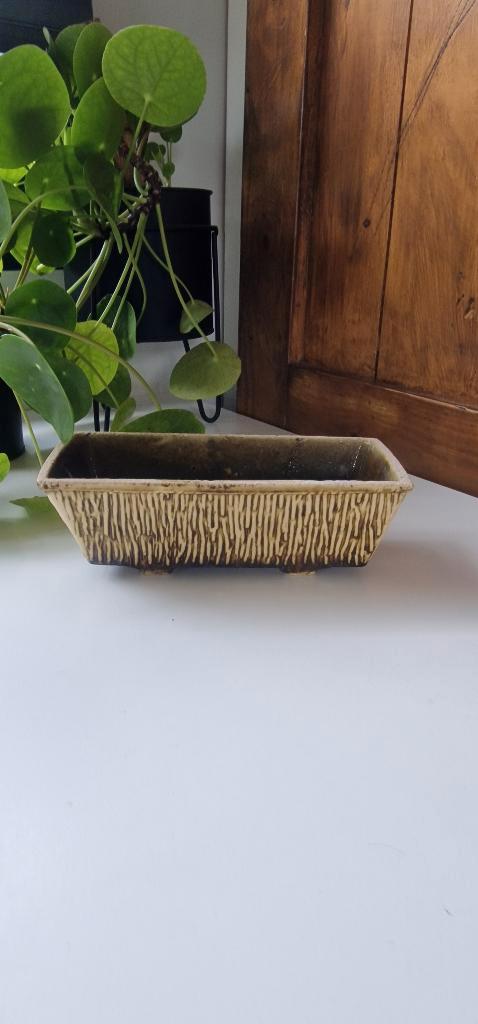 Vintage cactus bloempot - Boomschors - Jaren 70, Tuin en Terras, Bloempotten, Gebruikt, Aardewerk, Binnen, Minder dan 40 cm, Minder dan 25 cm