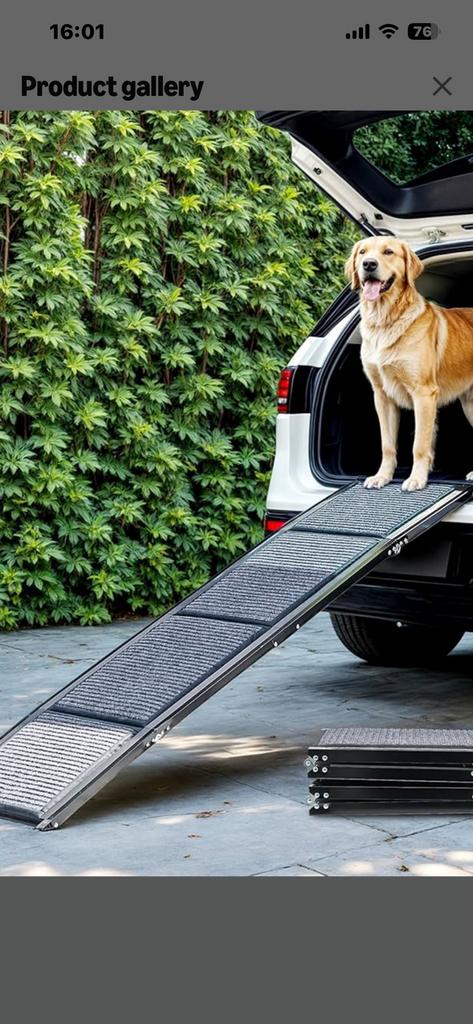Loopbrug voor hond, Ophalen of Verzenden, Nieuw