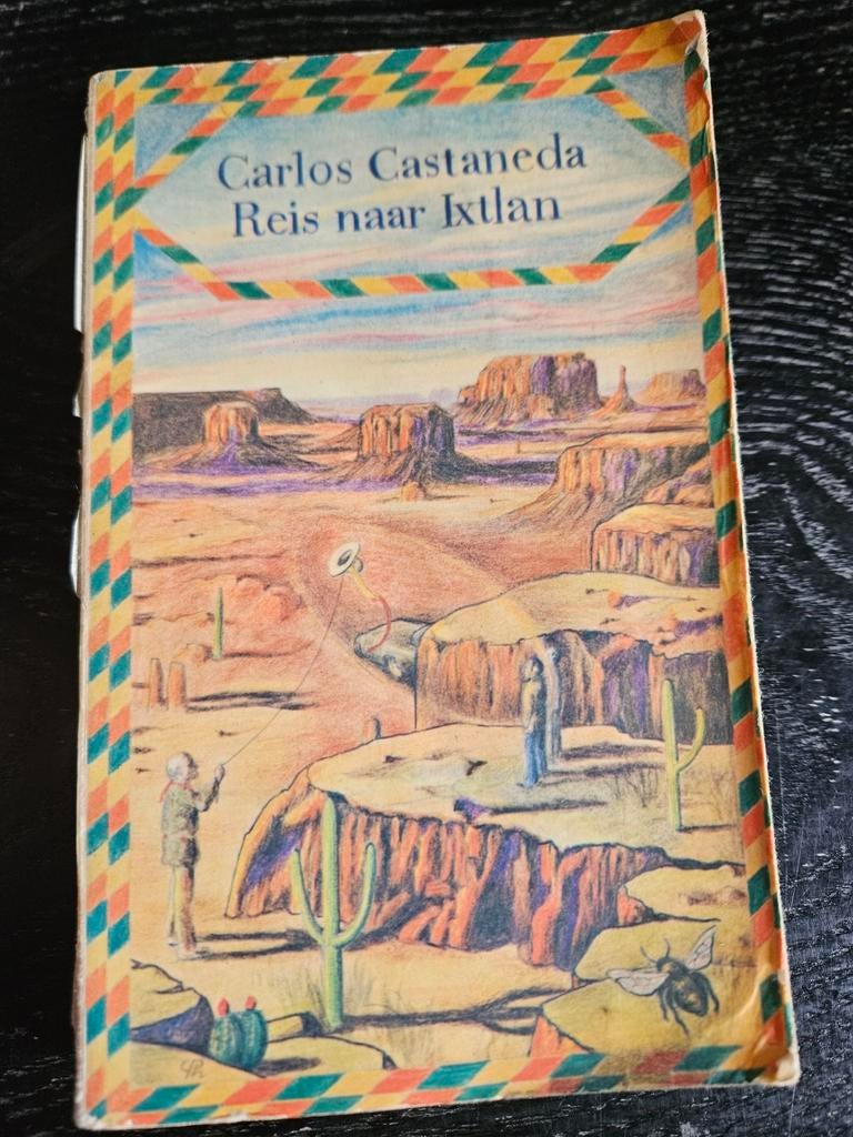 Carlos Castaneda - Reis naar Ixtlan, Boeken, Ophalen of Verzenden