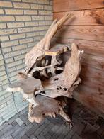 Unieke Houten Decoratie / Bijzettafel van Teakhout Wortel, Ophalen