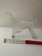 Kosta Boda glazen Afgaanse Windhond 97791-3, Ophalen of Verzenden