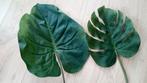 2 mooie grote kunstbladeren, Ophalen of Verzenden, Zo goed als nieuw
