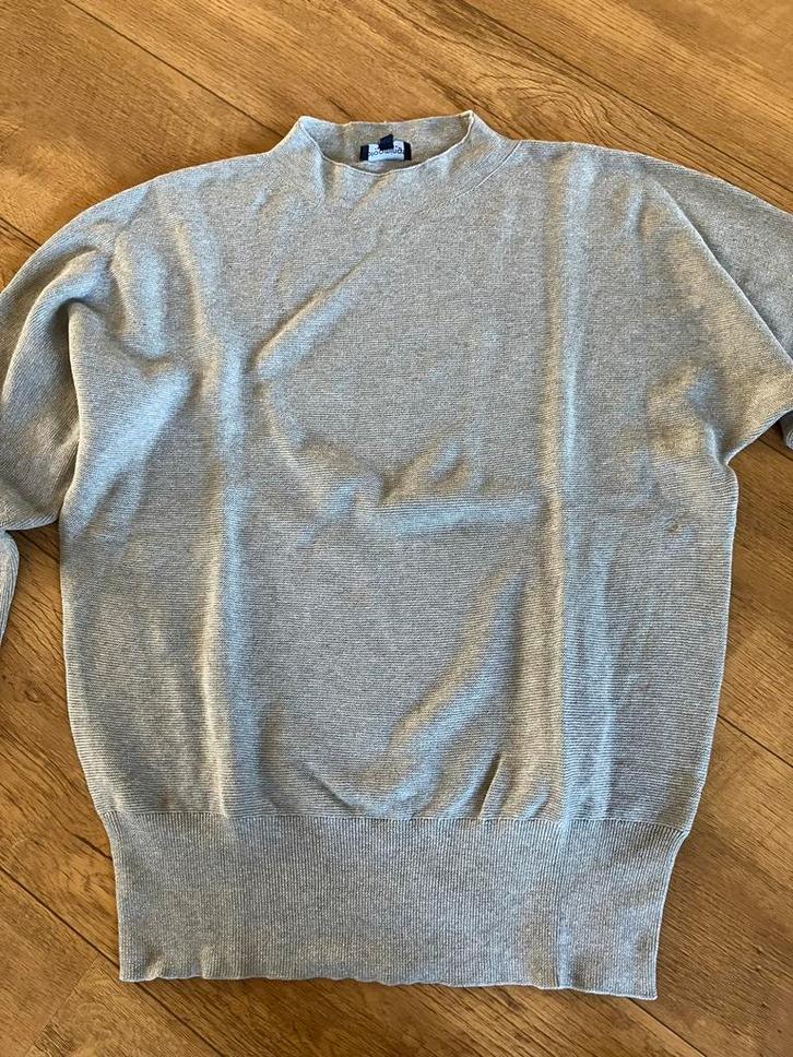 Dames trui Bloomings maat L grijs met glitter en knoopjes, Kleding | Dames, Truien en Vesten, Gedragen, Maat 42/44 (L), Grijs