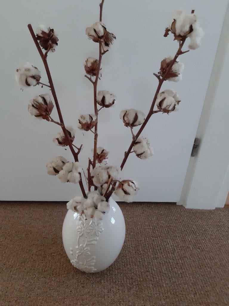 aparte vaas met takken katoen bollen, Ophalen, Overige kleuren, Aardewerk of Porselein, Zo goed als nieuw