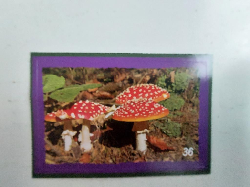 Deka Artis-plaatjes 2026, Dekamarkt, Ophalen of Verzenden