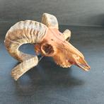 Schedel van een geit met hoorns, Ophalen of Verzenden, Gebruikt, Boerderijdier, Schedel