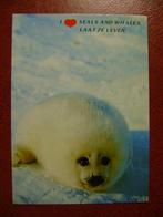 Laat de zeehonden en walvissen leven kaart 1, Verzamelen, Ansichtkaarten | Dieren, Waterdier, Ongelopen, Ophalen of Verzenden