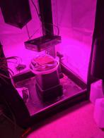 Complete wietkweek tent set 1x1m - Geurloos!, Tuin en Terras, Kweekspullen, Ophalen, Zo goed als nieuw, Kweektent