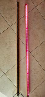LED Groeilampen 30W - Rood/Wit & Blauw/Rood, Tuin en Terras, Kweekspullen, Ophalen of Verzenden, Gebruikt