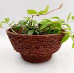 Vintage aardewerk bloempot / Schaal op voetje   diam.18 cm, Ophalen of Verzenden, Huis en Inrichting