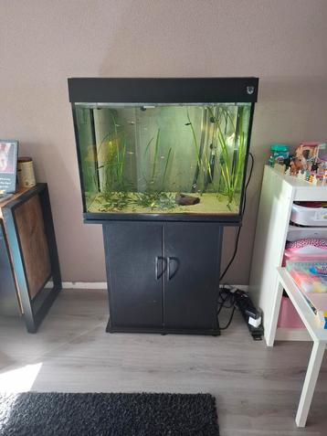 Aquarium trofis beschikbaar voor biedingen