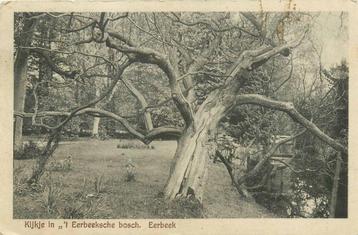 (388-095-023) Eerbeek Kijke in t Eerbeeksche bosch beschikbaar voor biedingen