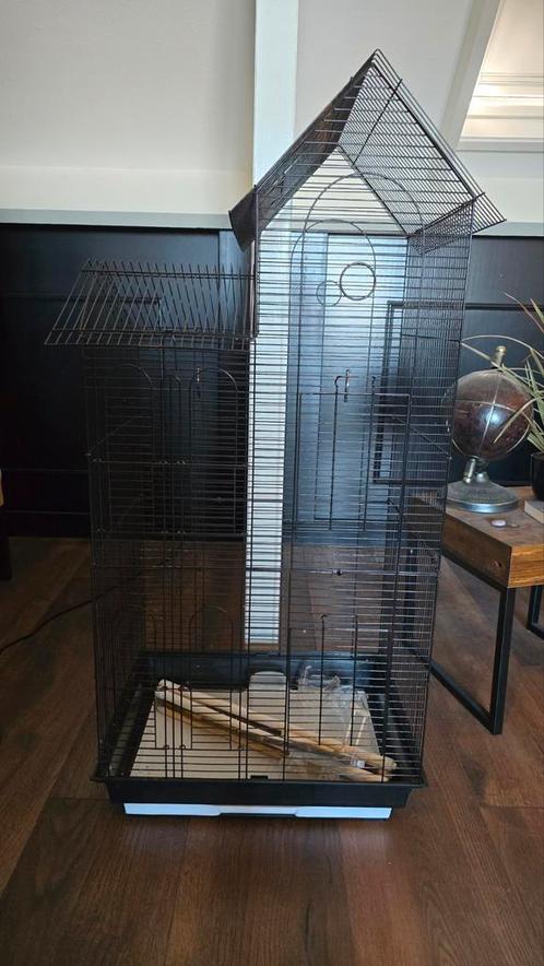 Mooi zwarte vogelkooi met 2 zadeldaken, Dieren en Toebehoren, Vogels | Hokken en Kooien, Zo goed als nieuw, Vogelkooi, Ophalen