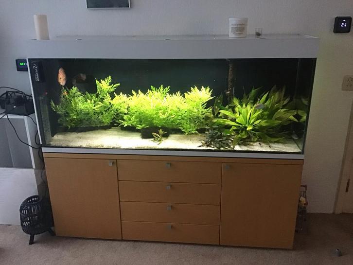 Aquarium, Dieren en Toebehoren, Vissen | Aquaria en Toebehoren, Gevuld zoetwateraquarium, Ophalen of Verzenden