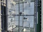 Mooie voilere,  verrijdbaar. Voor kanarie of parkiet, Dieren en Toebehoren, Ophalen, Zo goed als nieuw, Aluminium, Vogelkooi