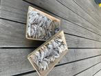 Oesterschelpen, Hobby en Vrije tijd, Verzenden, Nieuw, Materiaal