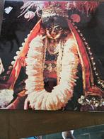 Hare Krishna lp, Verzamelen, Ophalen of Verzenden, Zo goed als nieuw, Cd of Plaat