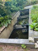 vijver incluvief alles, Tuin en Terras, Vijvers, Ophalen, Zo goed als nieuw