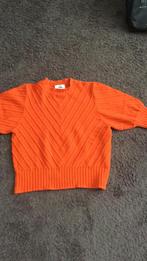 Oranje trui, Oranje, Maat 42/44 (L), Zo goed als nieuw, Ophalen