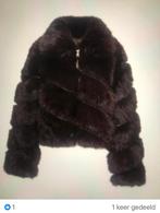 Nieuwe Korte Gevoerde Winterjas, Ophalen of Verzenden, Nieuw, Maat 38/40 (M), Bruin