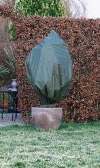 Plantenhoes voor de winter XL/ olijfboom bescherming, Ophalen of Verzenden, Volle zon, Olijfboom, 100 tot 250 cm