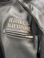 Harley Davidson, zwaar leren jack. Maat Large, Ophalen of Verzenden, Tweedehands, Jas | leer