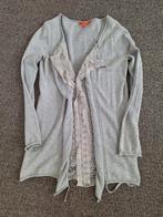 Lang grijs vest - leuke details- merk Notthesame - maat 38, Maat 38/40 (M), Ophalen of Verzenden, Zo goed als nieuw, Notthesame