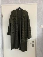 Groen gebreid vest - Ine Suze, Kleding | Dames, Ophalen of Verzenden, Zo goed als nieuw, Maat 38/40 (M), Groen