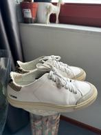 Axel Arigato Clean 90 Triple Animal. Size 37, Kleding | Heren, Schoenen, Verzenden, Zo goed als nieuw, Overige kleuren