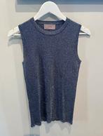 Ibana top maat 38 Nieuw, Kleding | Dames, Maat 38/40 (M), Blauw, Nieuw, Ophalen of Verzenden