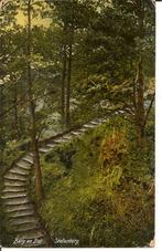 Berg en dal Stallenberg,, Ophalen of Verzenden, 1920 tot 1940, Ongelopen, Gelderland