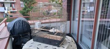 vogelkooi beschikbaar voor biedingen