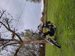 Tomos, Fietsen en Brommers, Ophalen, Gebruikt, Maximaal 45 km/u, 50 cc