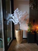 Witte bloesemboom met schelpenvaas, Ophalen, Nieuw, Binnen