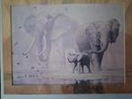 Olifanten in lijst, Ophalen, Kunststof, Zo goed als nieuw, 100 tot 125 cm