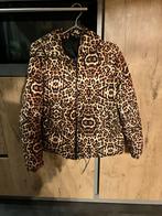 Colourful Rebel Winterjas - Maat S, Ophalen of Verzenden, Zo goed als nieuw, Maat 36 (S), Bruin