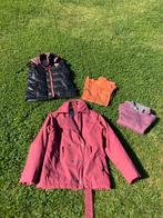 Gratis Paardrij Kleding Pakket Anky & Euro-star, Ophalen, Dames, Bovenkleding