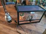 Te koop terranium  compleet met stenen etc, Dieren en Toebehoren, Ophalen of Verzenden, Zo goed als nieuw, Terrarium of Paludarium