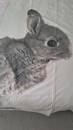 1 persoons dekbedovertrek, Ophalen, Gebruikt, Eenpersoons, Dekbedovertrek